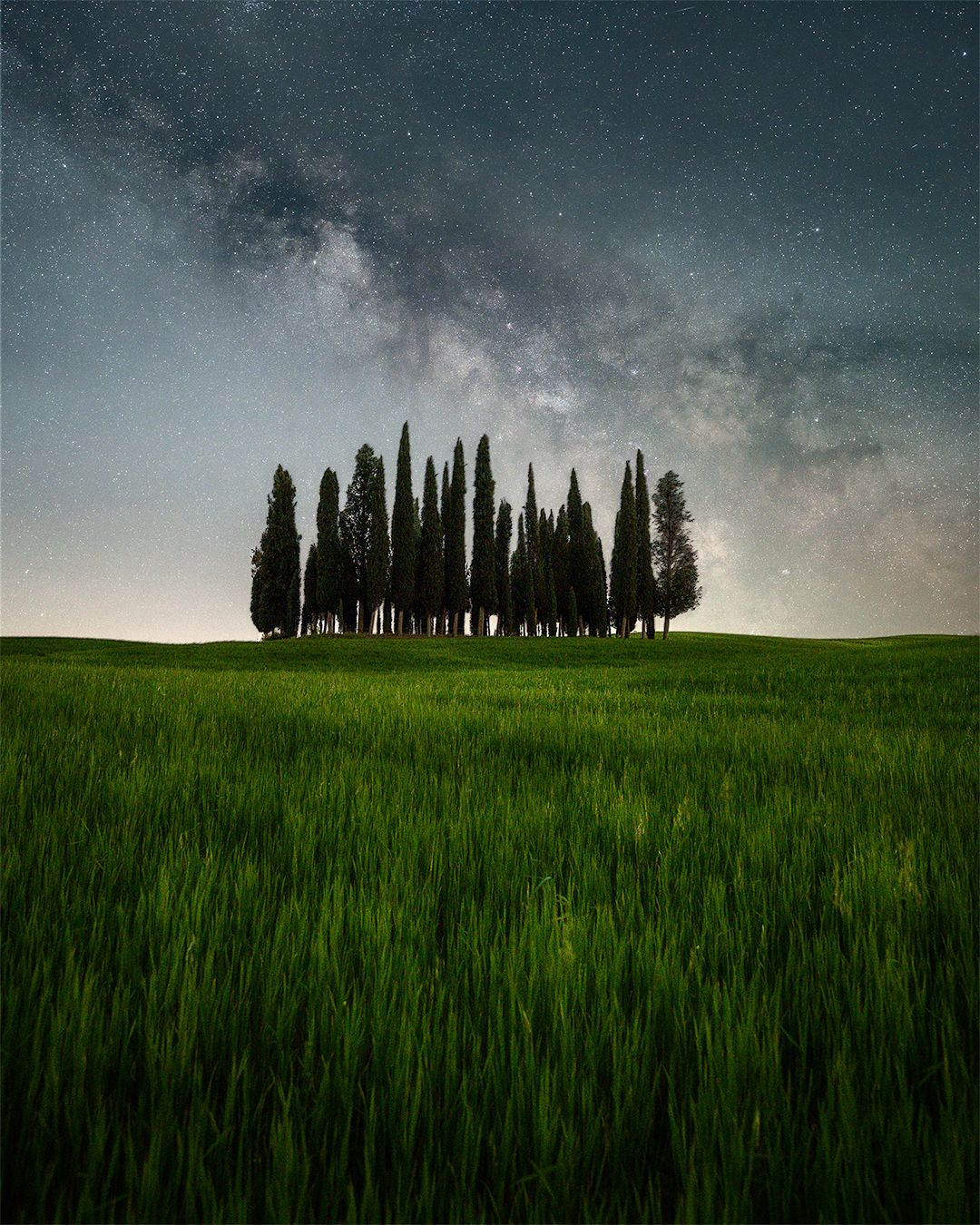 San Quirico d'Orcia, cipressi, Italy