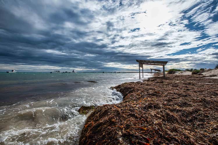 Seaweed beach, Cervantes, Western Australia
