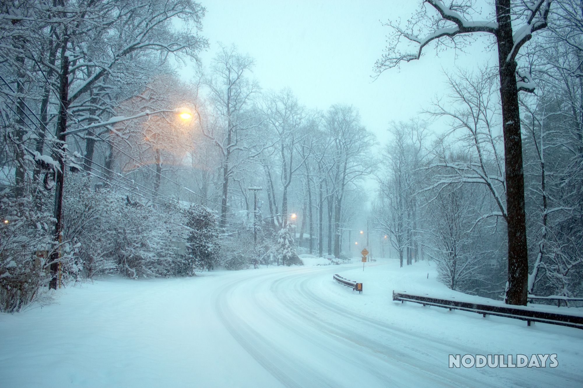 Silver Spring, Maryland, USA