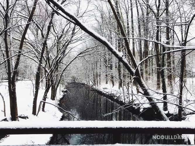 Silver Spring, Maryland