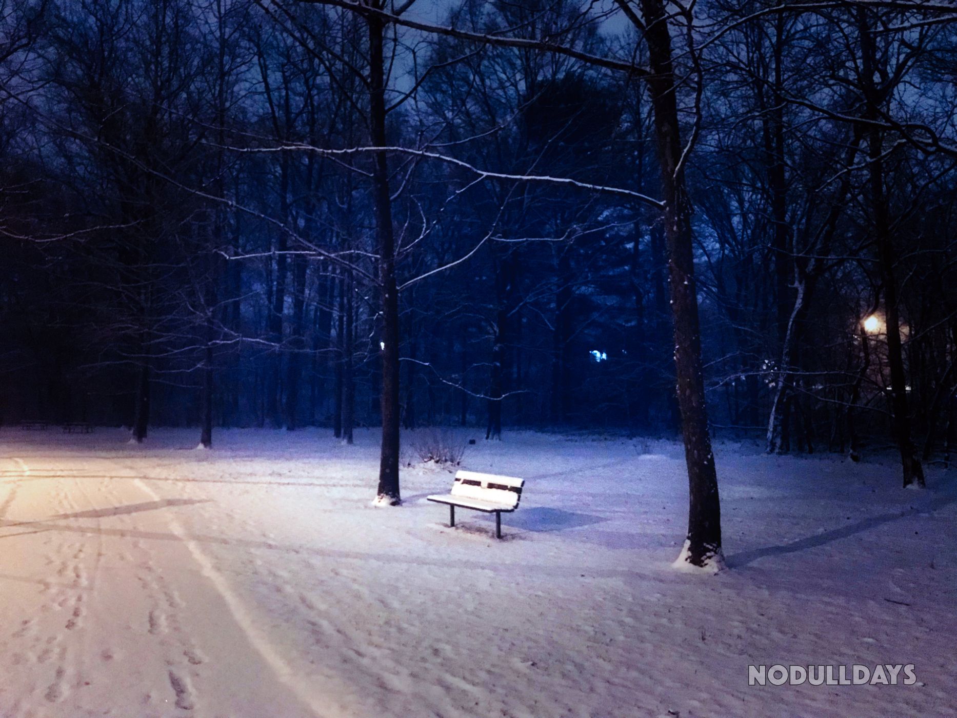 Silver Spring, Maryland, USA