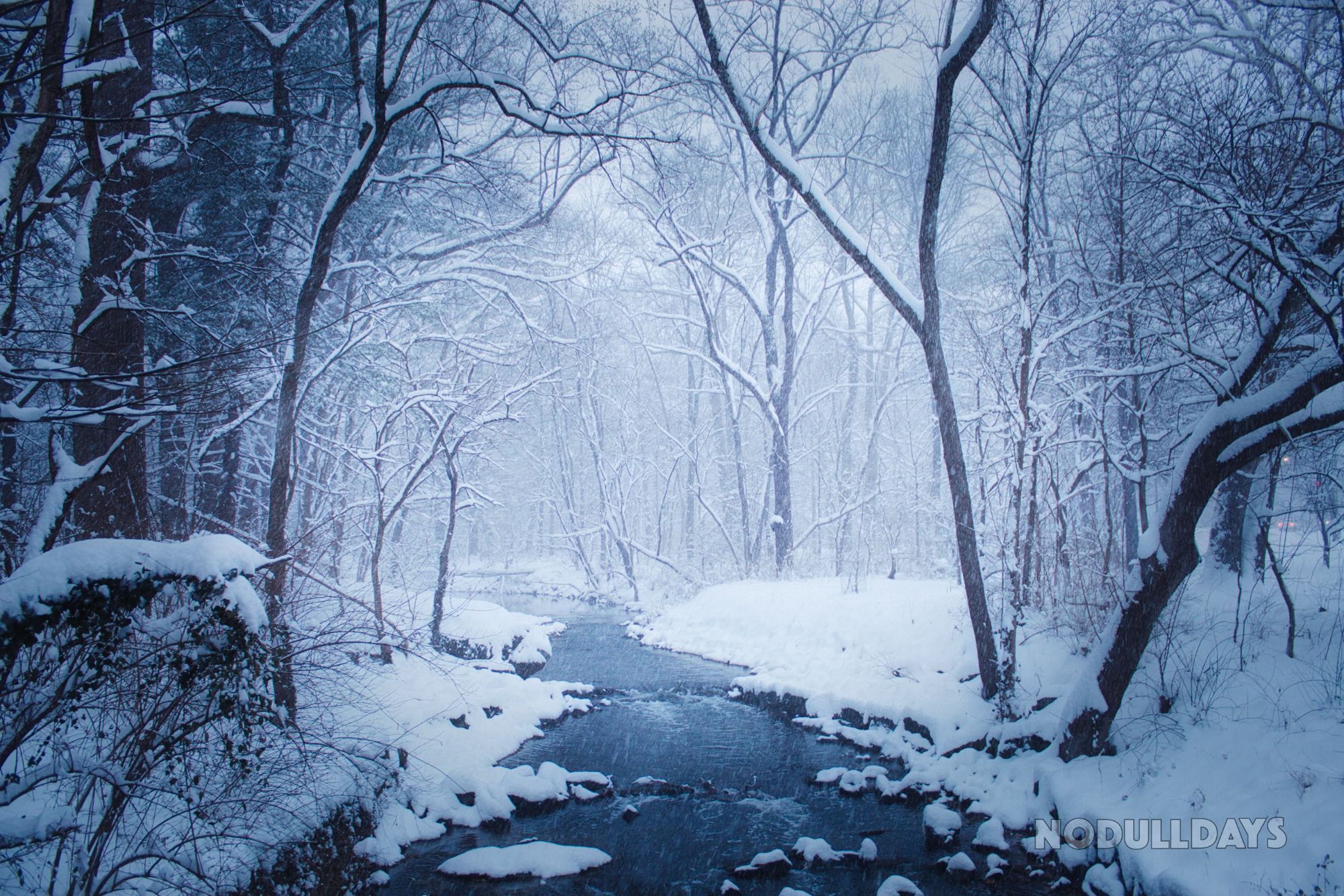 Silver Spring, Maryland, USA