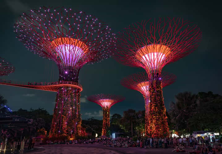 Supertree Grove - Gardens by the bay, Singapore