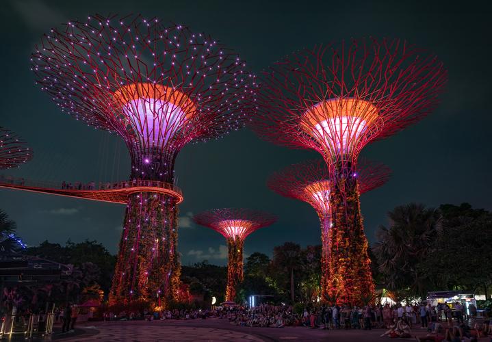 Singapore Supertree Grove - Gardens by the bay