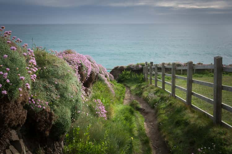 Stone hedge near Porthleven