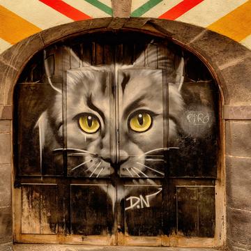 Street-Art in Clermond-Ferrant, France