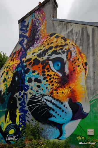 Street art in Morlaix