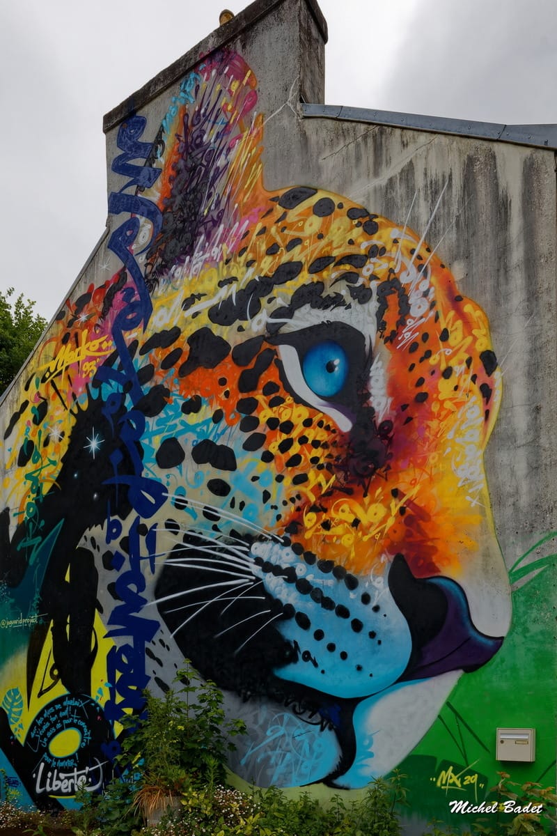 Street art in Morlaix, France