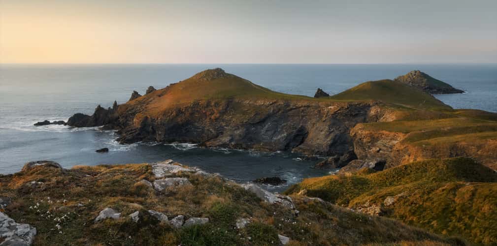 The Rumps