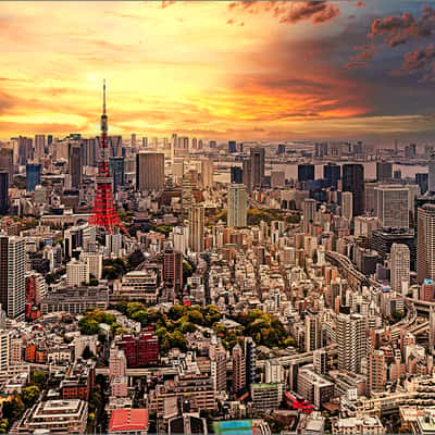 Tokio Cityscape View, Japan