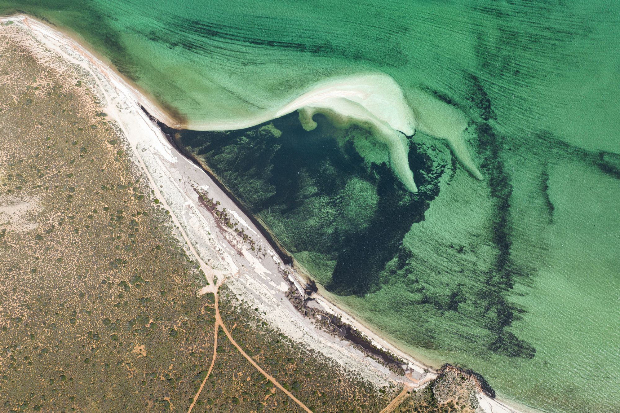 Whale Bone Point, Shark Bay, Western Australia, Australia