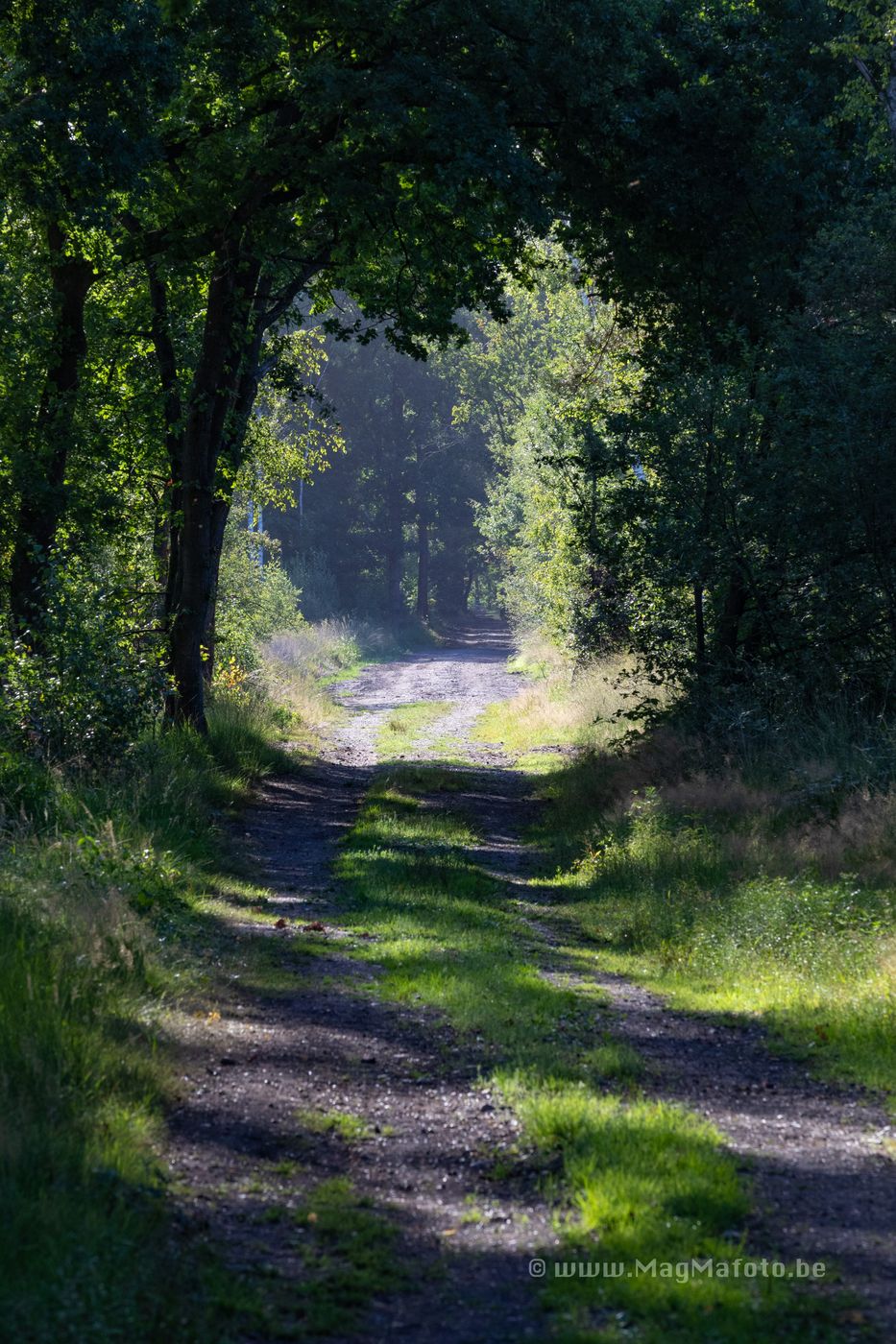 Ziepbeek, Belgium