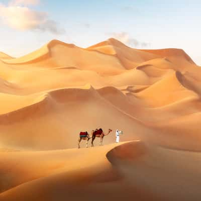 Al Ain Desert, United Arab Emirates