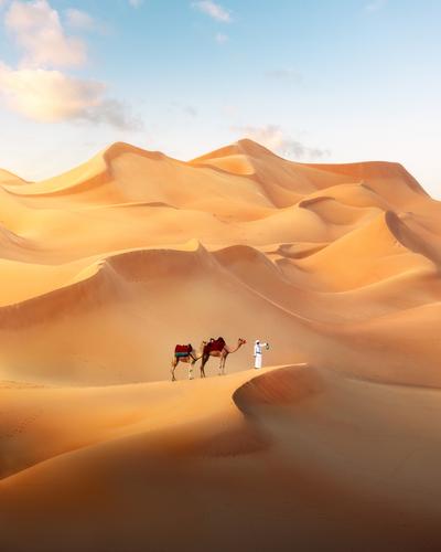 Al Ain Desert