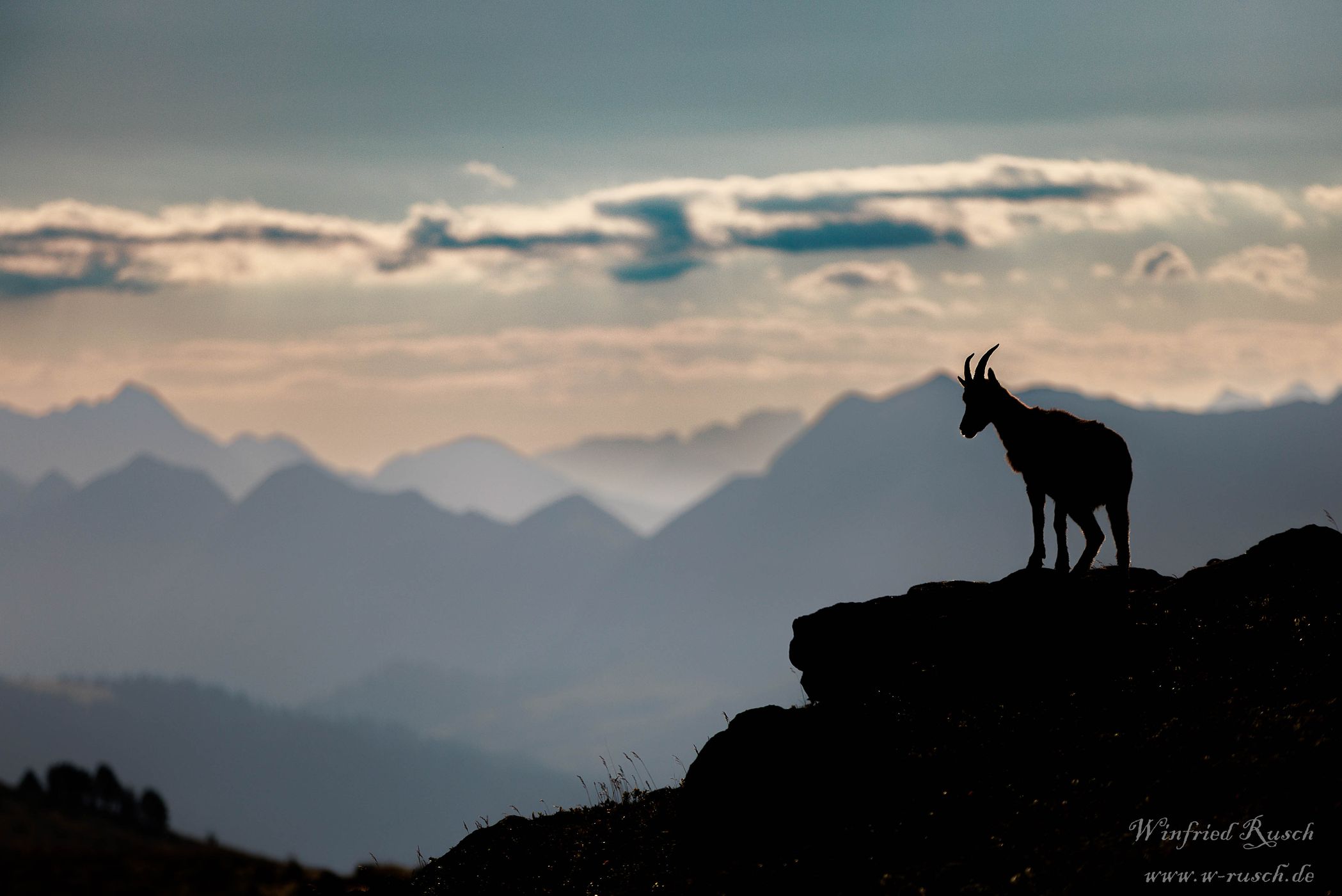 Alpenpanorama,Berner Oberland,Beatenberg, Switzerland