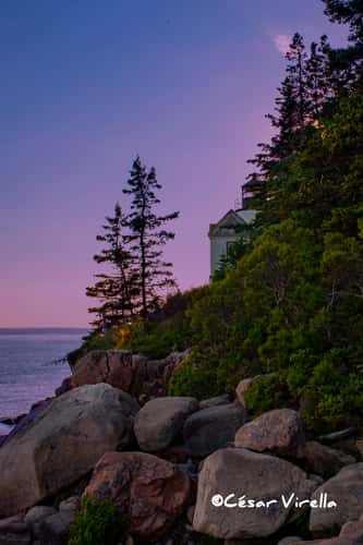 Cliff view of Bass Harbor Head Lighthouse