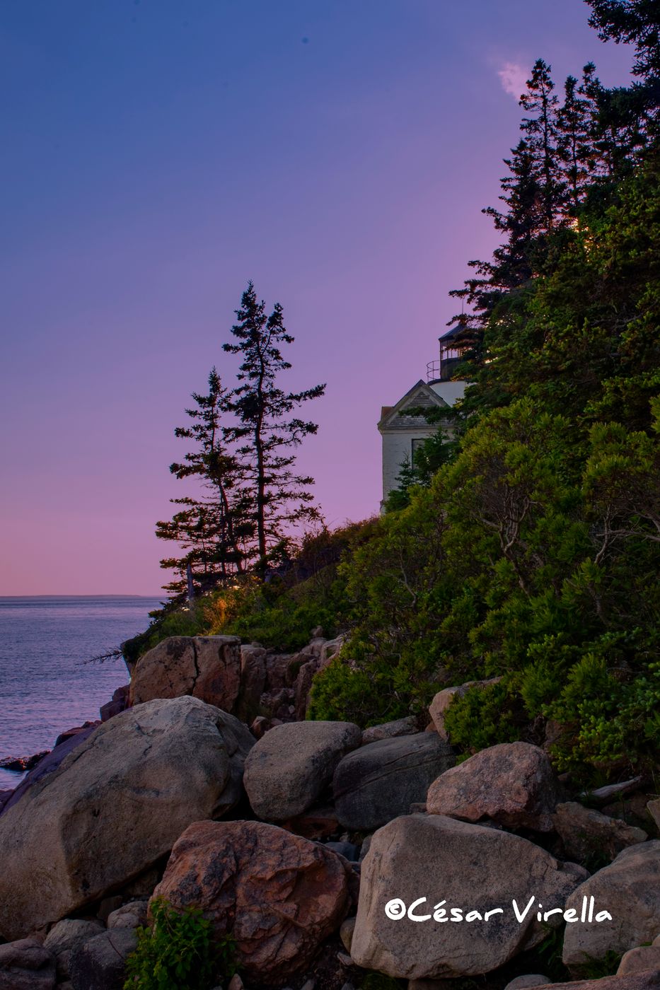 Cliff view of Bass Harbor Head Lighthouse, USA