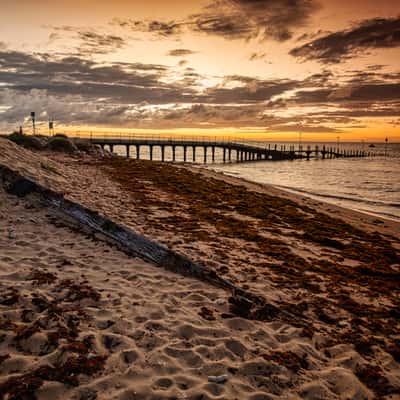 Bundegi Beach log , Exmouth, Western Australia, Australia
