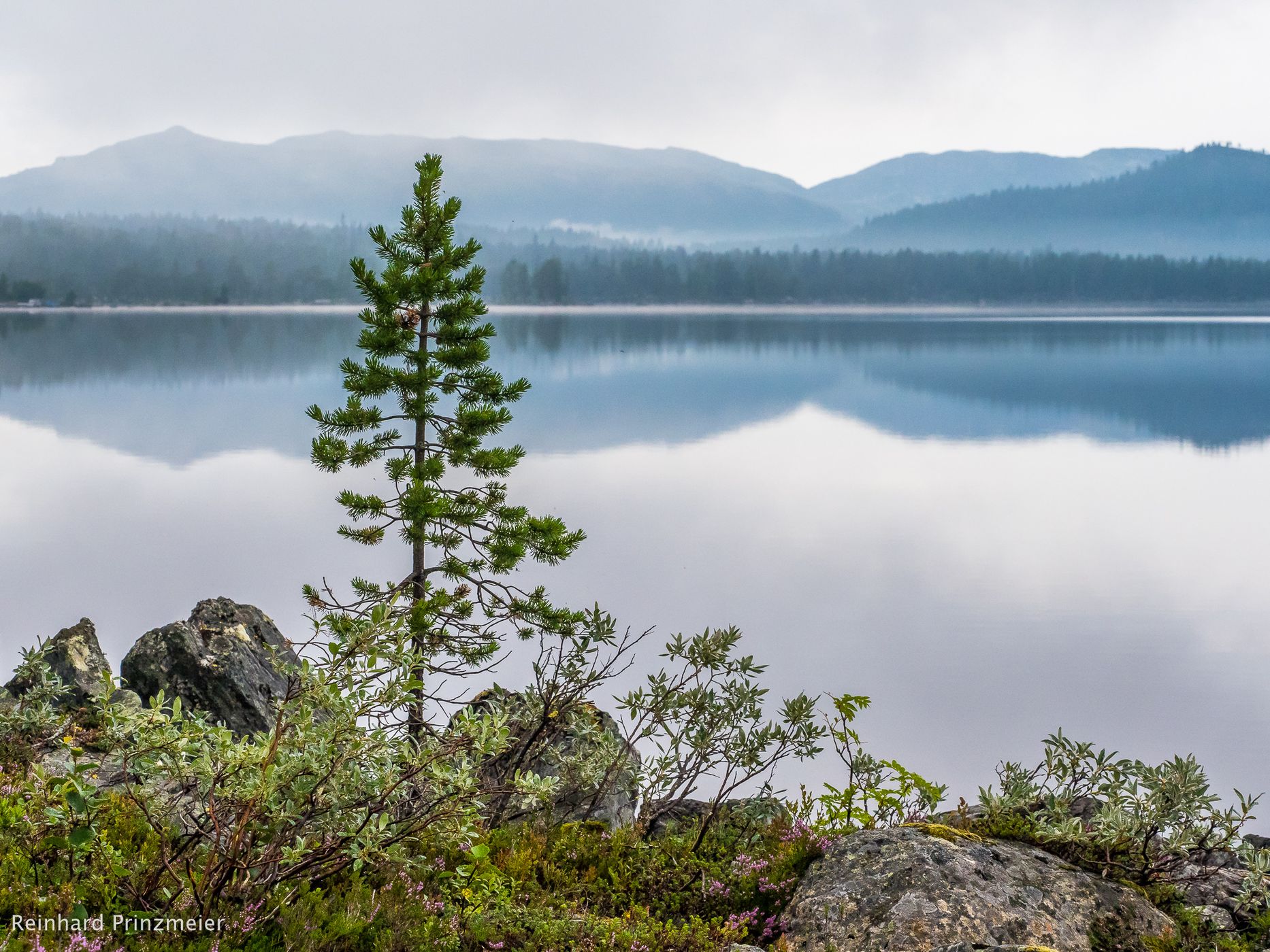 By the Gutulsjøen Lake, Norway