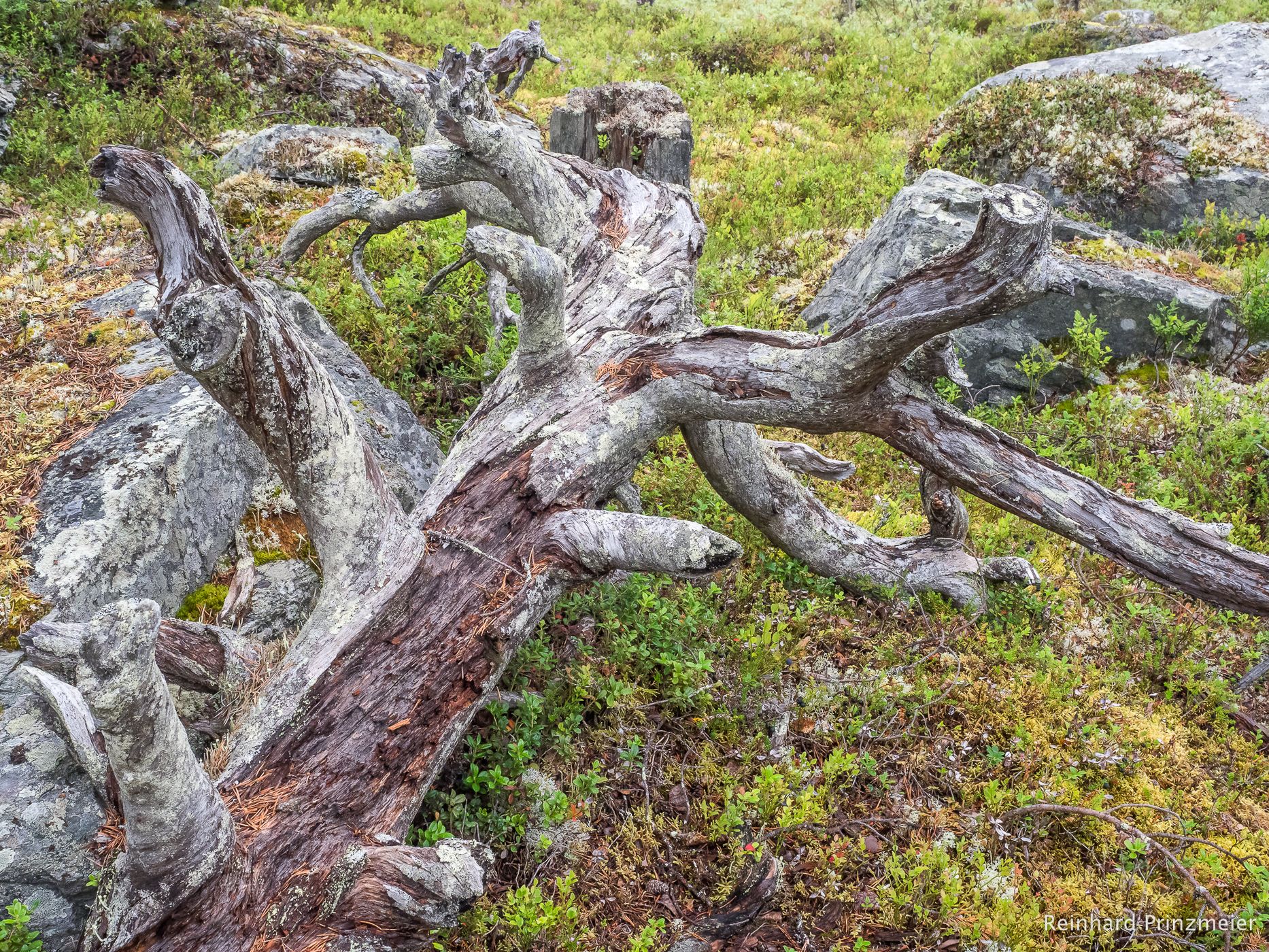 By the Gutulsjøen Lake, Norway
