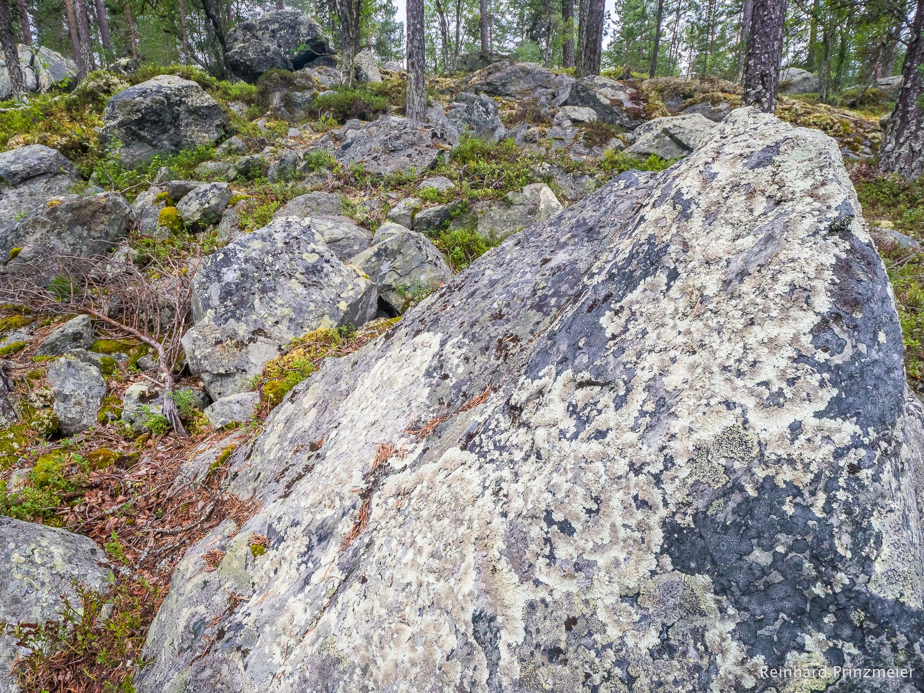 By the Gutulsjøen Lake, Norway