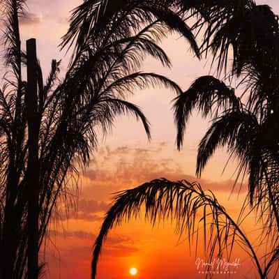 coucou beach, Tunisia