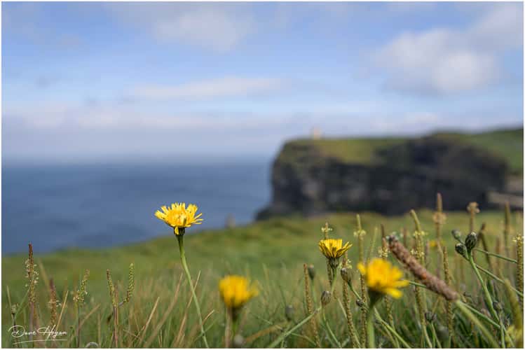 Cliffs of Moher, view to O'Briens Tower