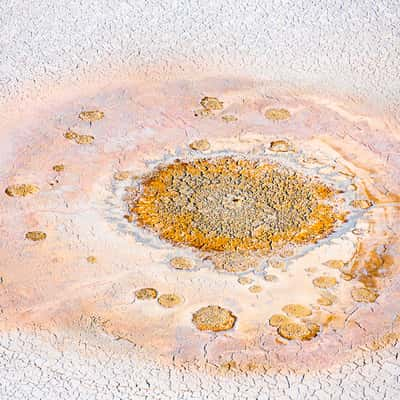 Mound Spring in Kati Thanda-Lake Eyre, Australia