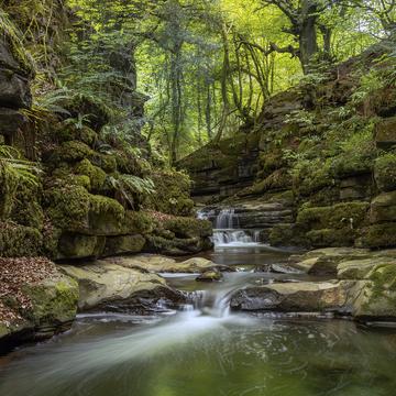 Clydach Gorge, Monmouthshire, Wales, United Kingdom