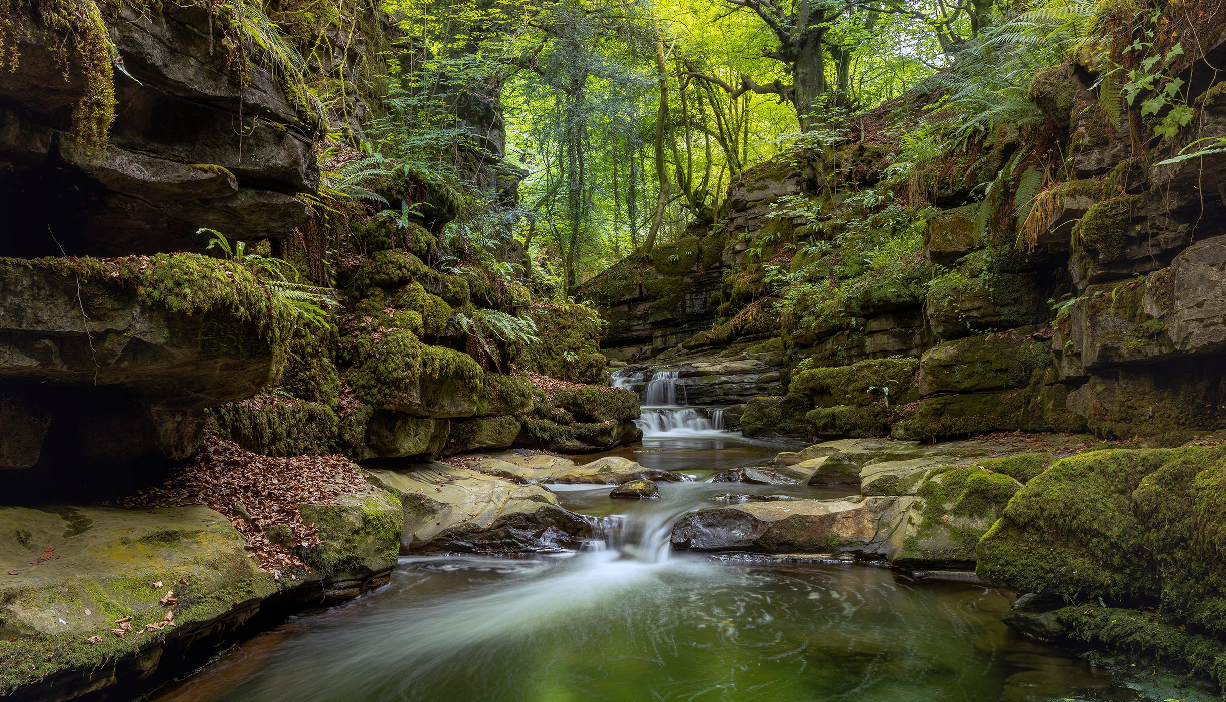 Clydach Gorge, Monmouthshire, Wales, United Kingdom