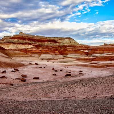 Cow Dung Road, USA