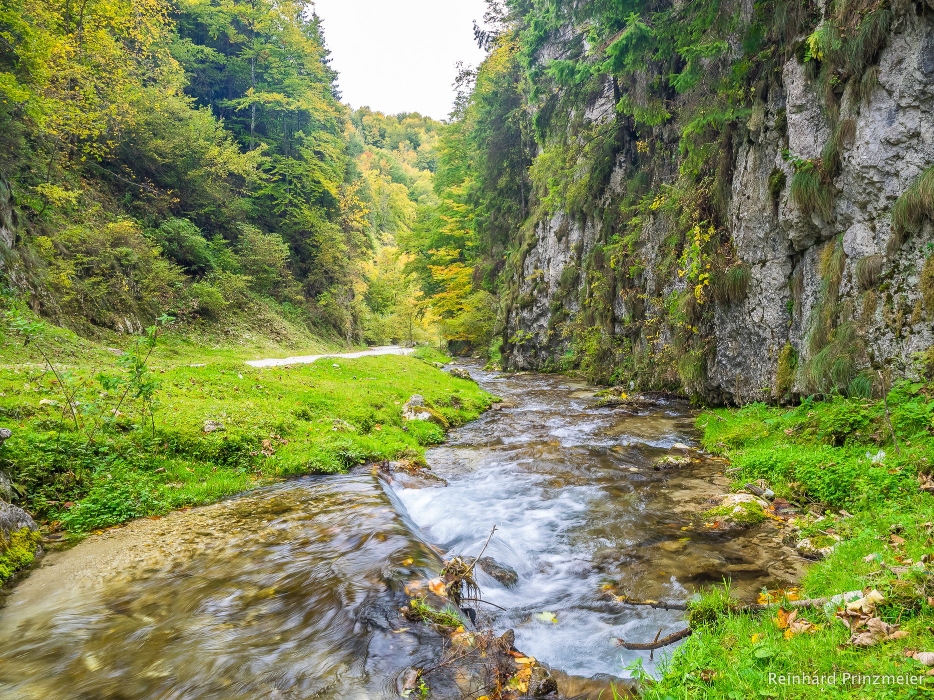 Dâmboviciorei Gorge (Cheile Dâmboviciorei), Romania