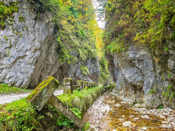 Dâmboviciorei Gorge (Cheile Dâmboviciorei)