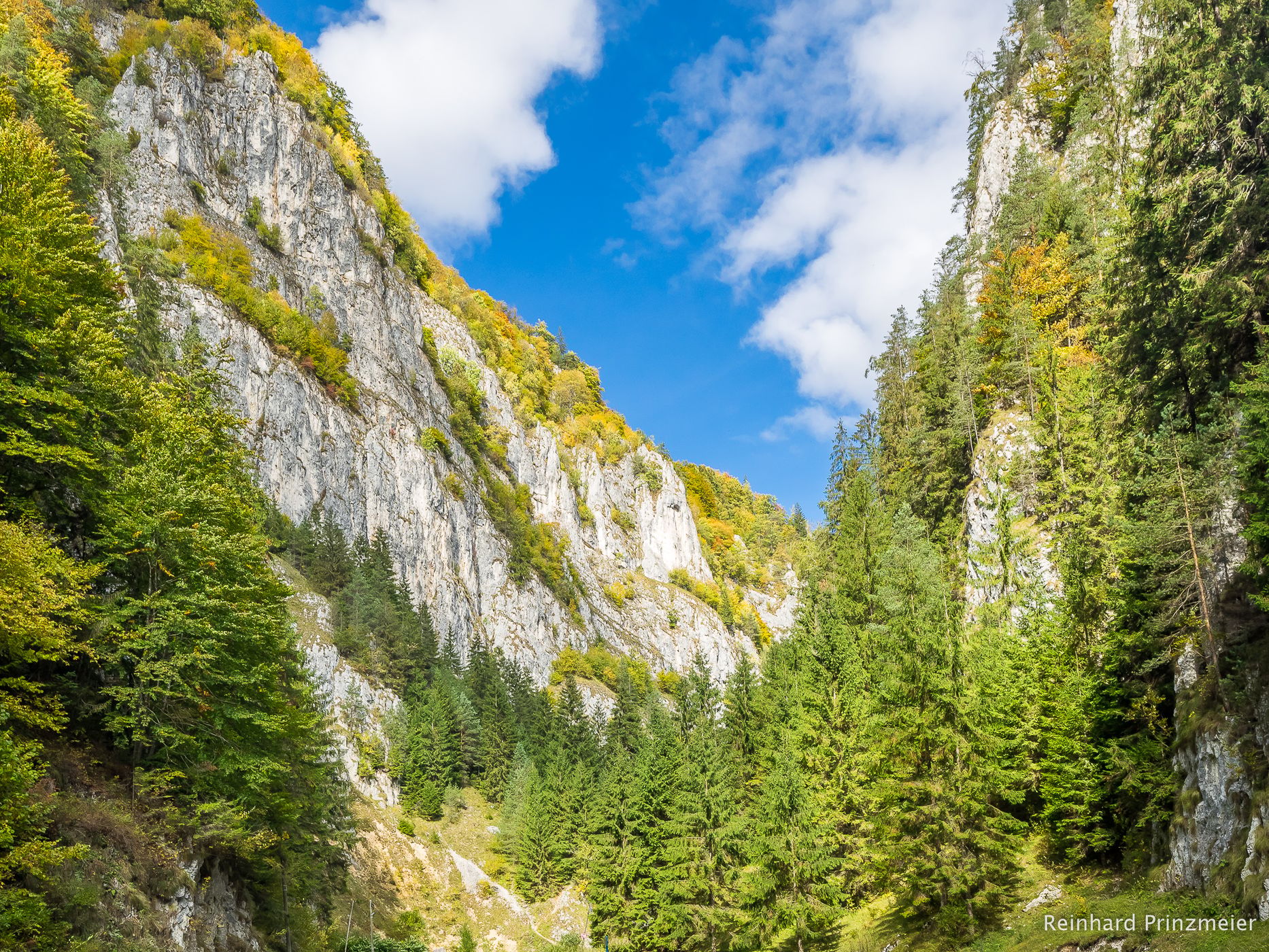 Dâmboviciorei Gorge (Cheile Dâmboviciorei), Romania