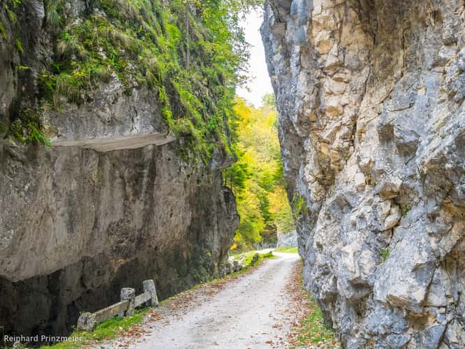 Dâmboviciorei Gorge (Cheile Dâmboviciorei)