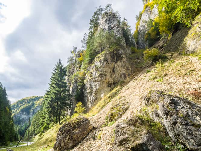 Dâmboviciorei Gorge (Cheile Dâmboviciorei)