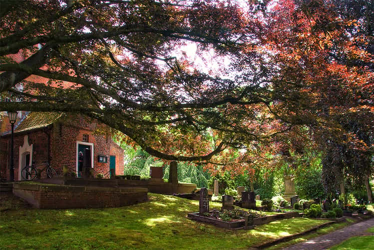 Dornum Friedhof
