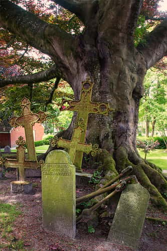 Dornum Friedhof
