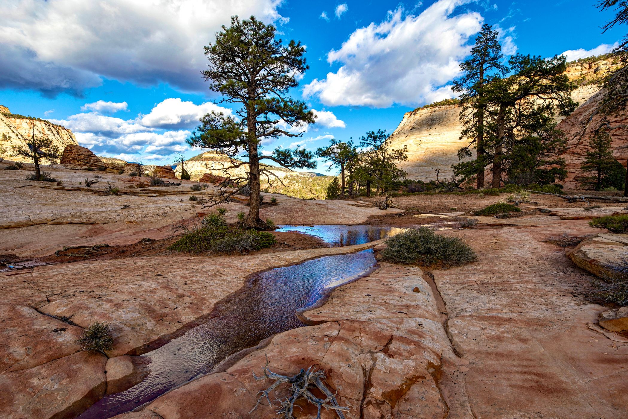 East Zion Viewpoint, USA