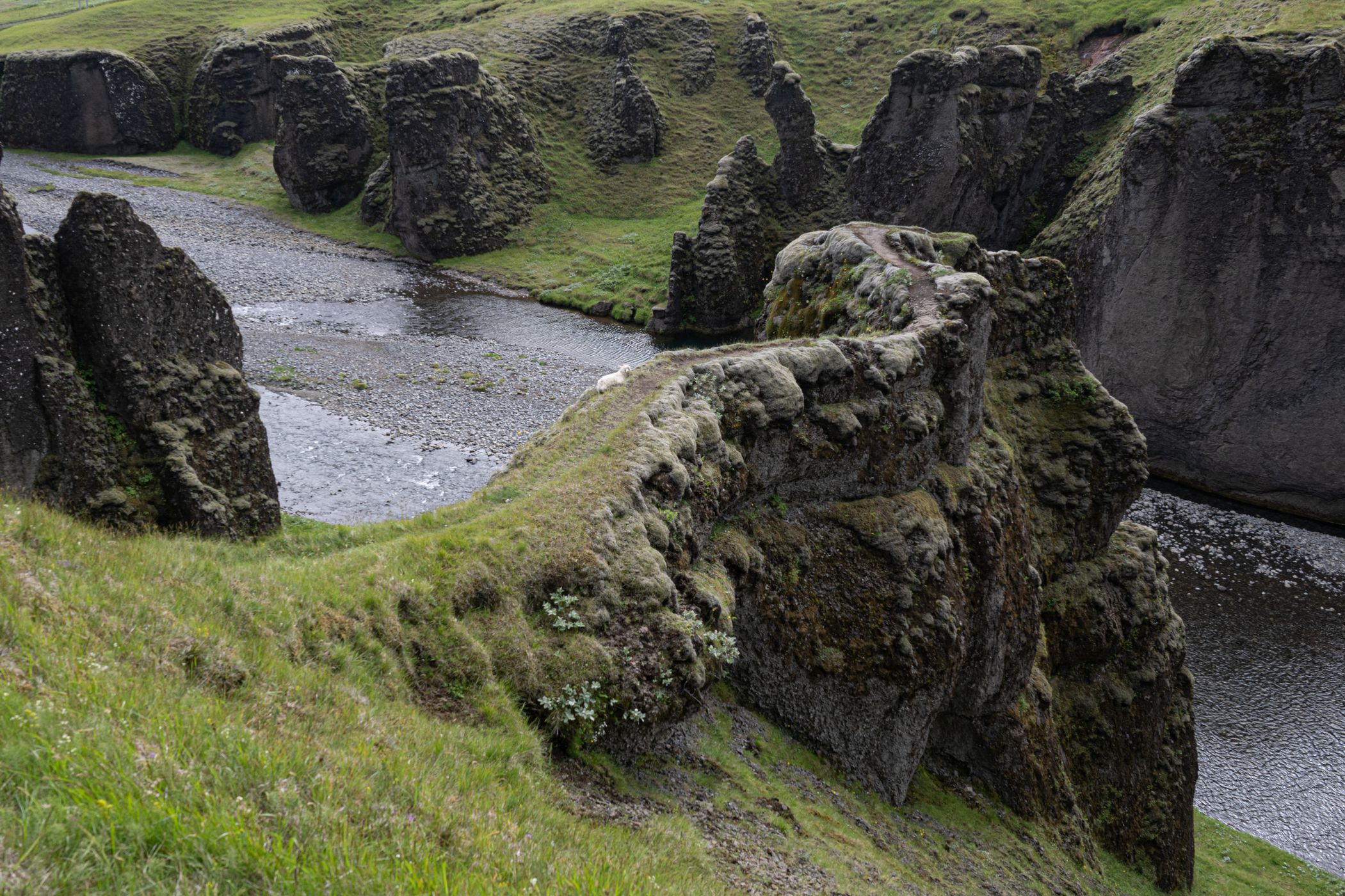 Fjaðrárgljúfur Canyon, Iceland