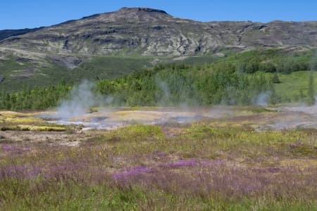 Geysir