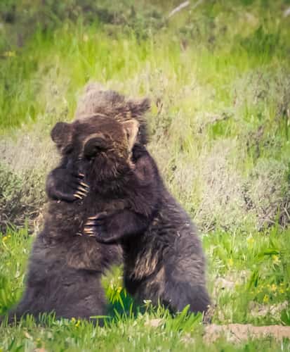 Grand Tetons national park