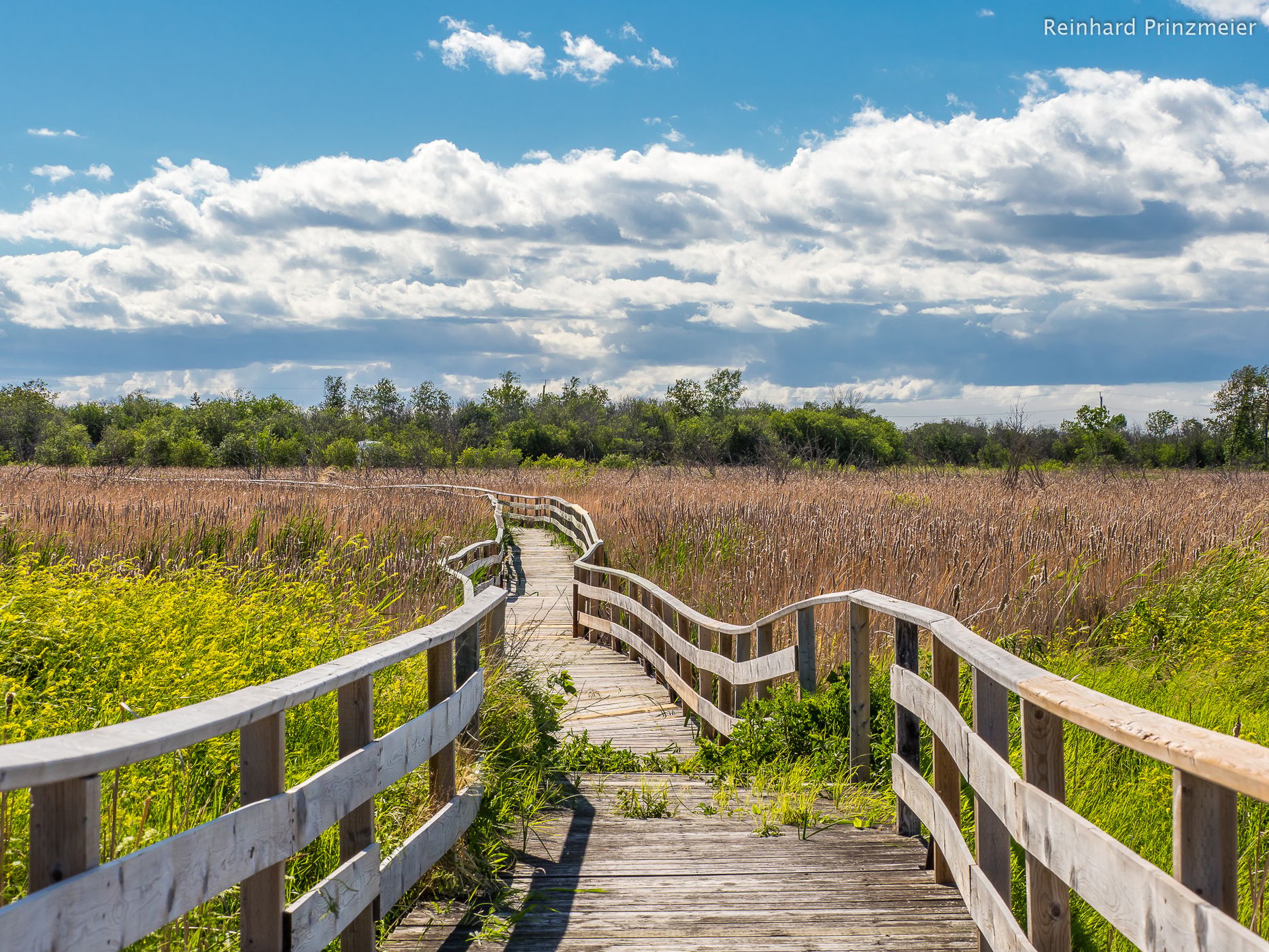Grassy Narrows Marsh, Canada