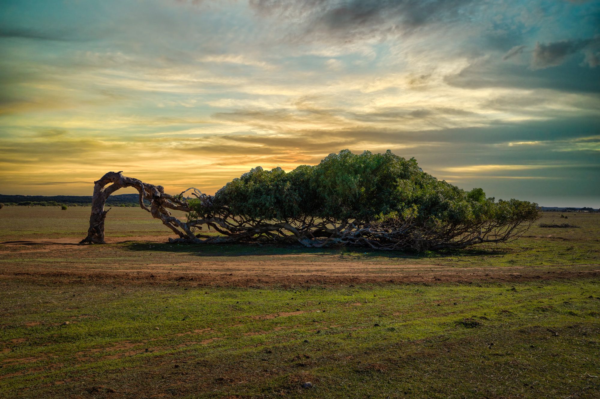 Greenough, Australia