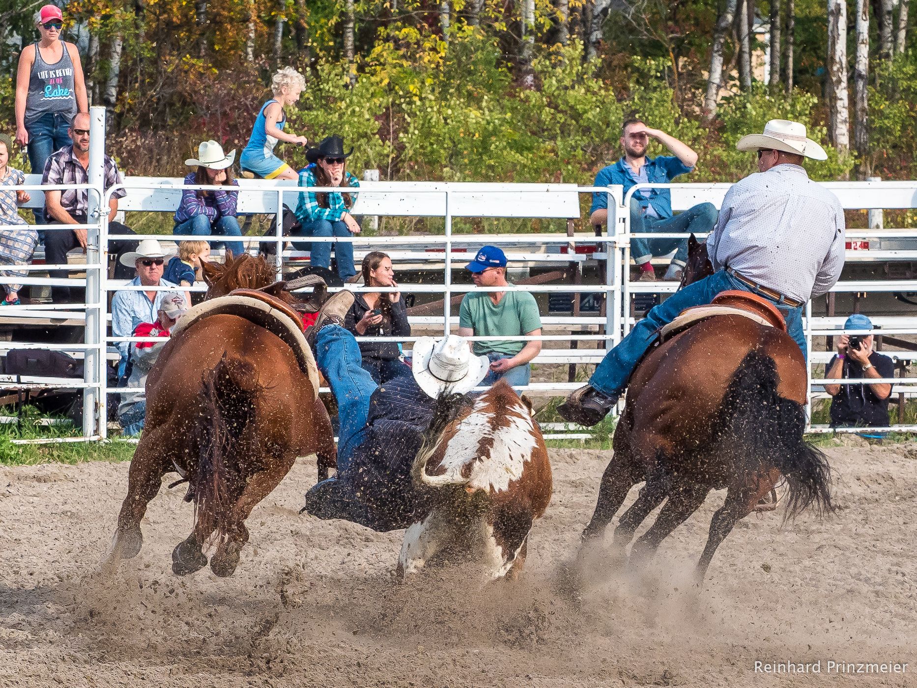 Grunthal Rodeo, Canada