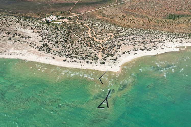 Hamelin Pool Stromatolites, Western Australia