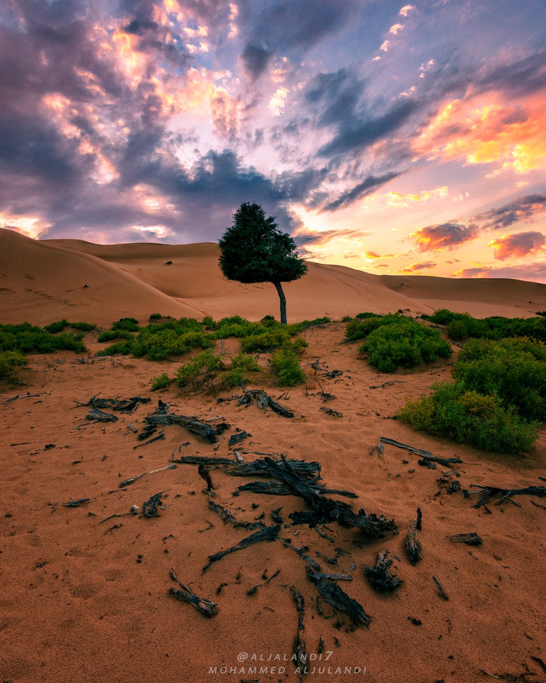 Jalaan bani bu Hassan, Oman