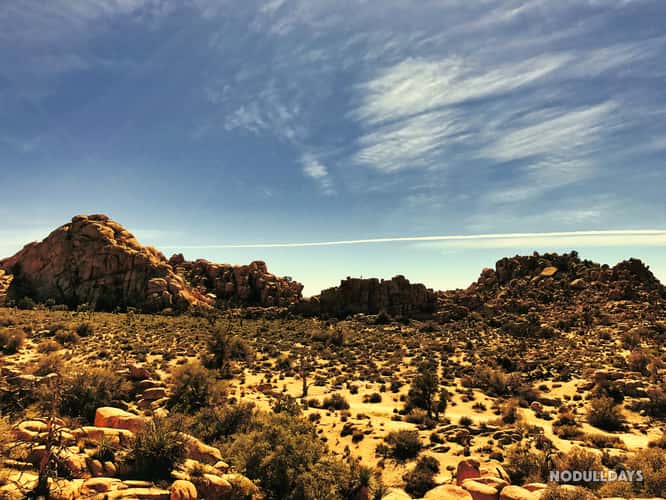 Joshua Tree National Park