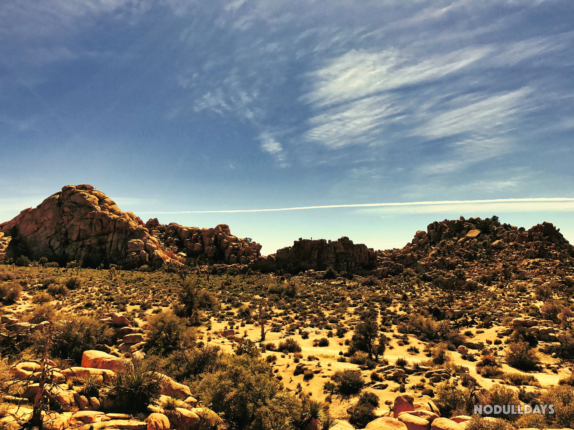 Joshua Tree National Park, USA