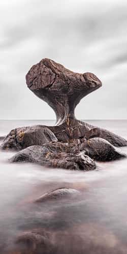 Kannesteinen Rock
